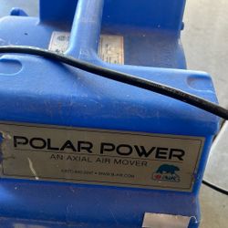Polar Bear Model Pb – 25