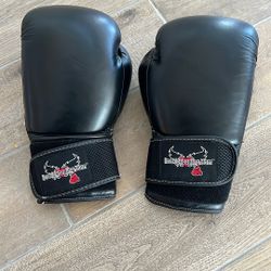 Boxing Gloves Used 
