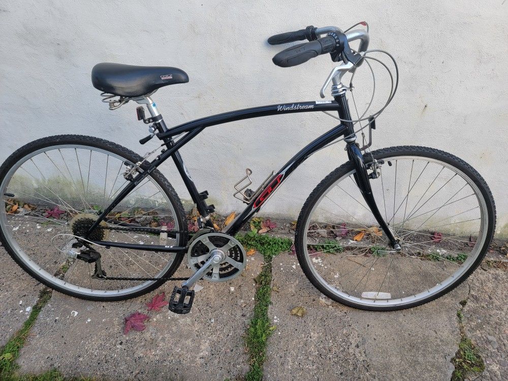 G.T. MOINTAIN / GRAVEL BIKE