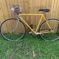  Bicycle Vintage Sebastian (new listing Sept 2023)