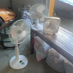 Fan - Three fans - Standing Oscillating FANS