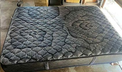 Queen Bed and Mattress