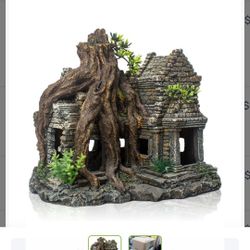 TAOMYPETS  Fish DECORATION  NEW IN BOX