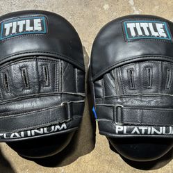 Platinum Boxing Pad
