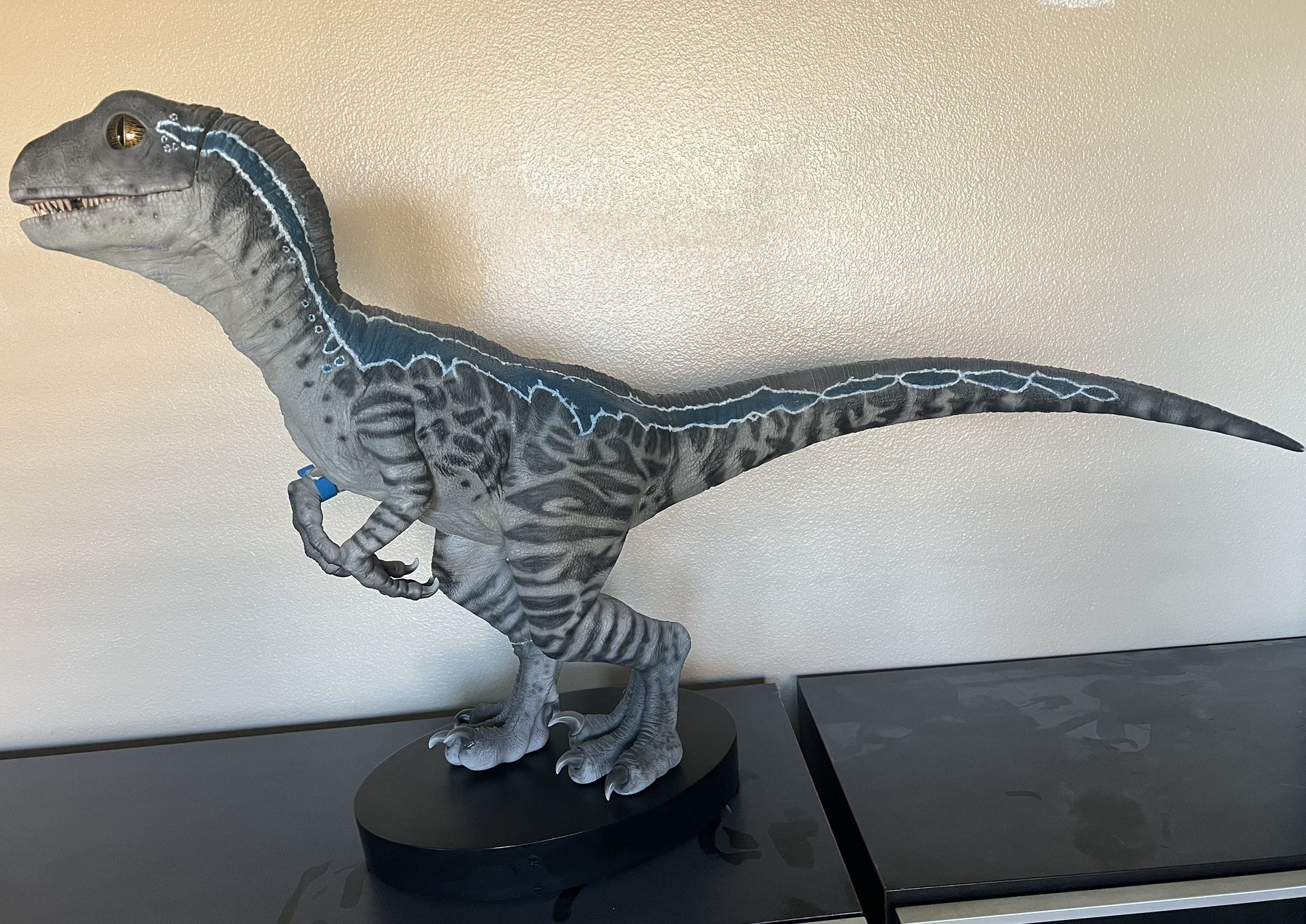 CHRONICLE Jurassic World Raptor Baby Blue 1:1 Scale Life Size Statue Figure Nt Sideshow