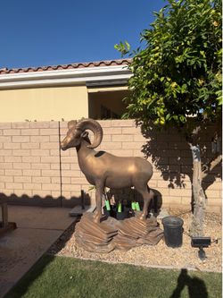 Want to buy big horn sheep statues