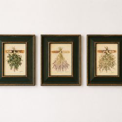Set of 3 Peggy Abrams watercolor prints – Lavender, Basil & Sage, signed and framed