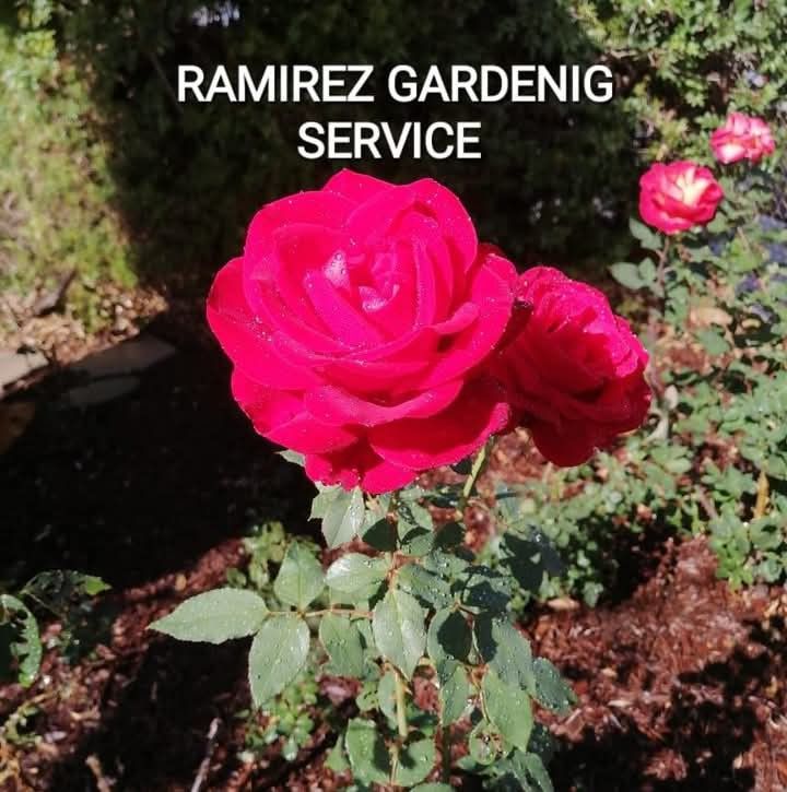 Jardinero Antes Y Después