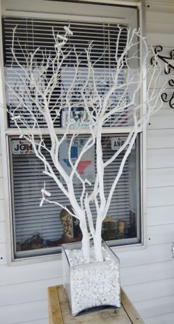 Money Tree