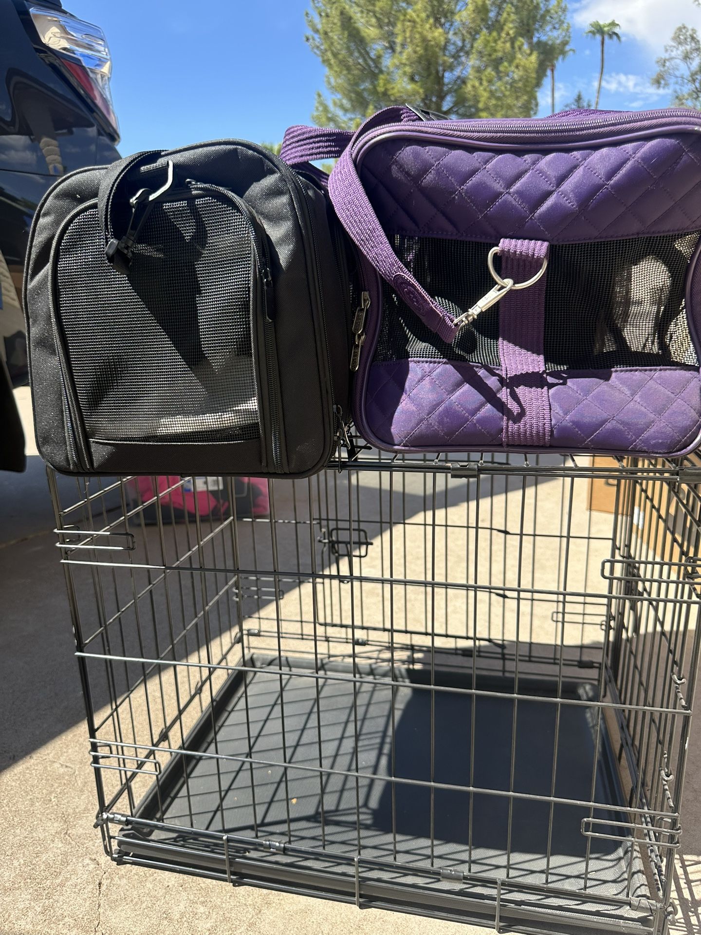 Dog Crate & 2 carry Bags