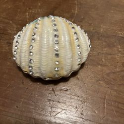 Shell Trinket Box