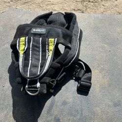 Dog Harness