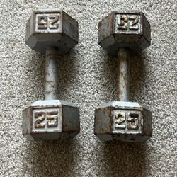 25 Pound weights