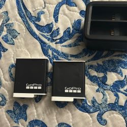 GoPro 