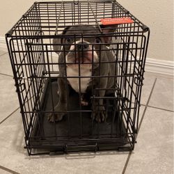 Dog Gate