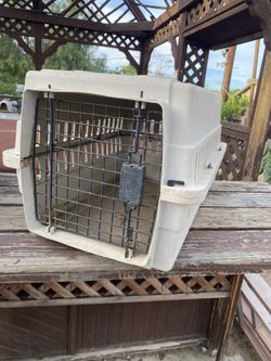 For Dogs/cat