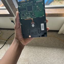Seagate 250GB Hard Drive (Untested, Pulled from PC)