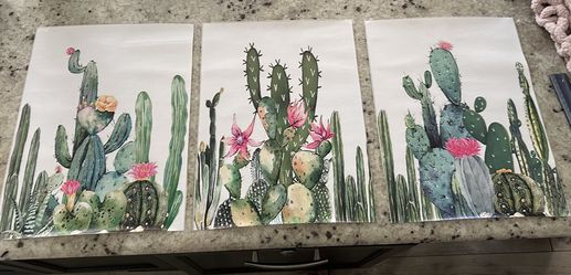 Cactus Canvas Prints