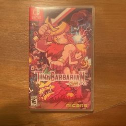 Nintendo Switch Tiny Barbarian 