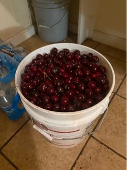 Cherries