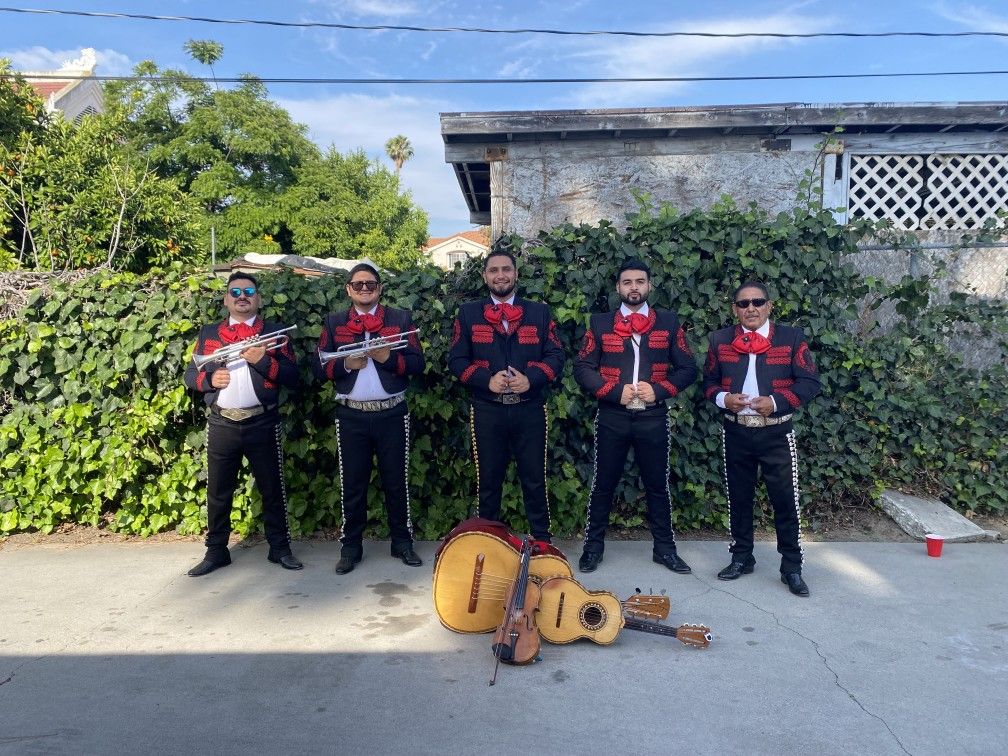 Mariachi Violin