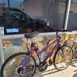 Bicycle Bike Cycle Cruiser Mountain Bike Exercise Bike 