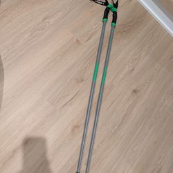 Atomic AMT SQS Ski Poles