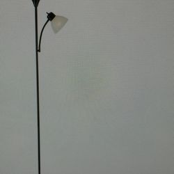 Adjustable floor lamp