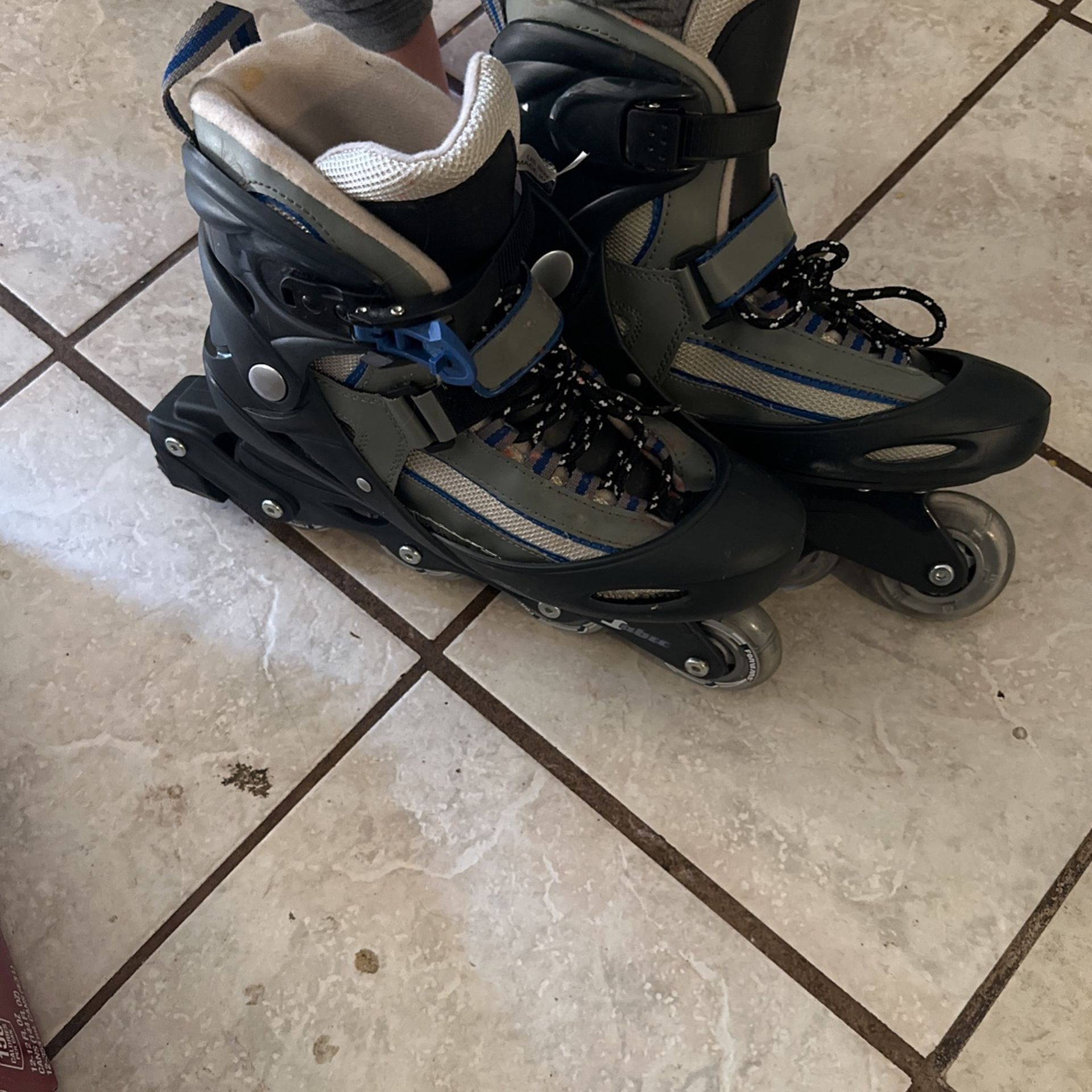 In Line Skate