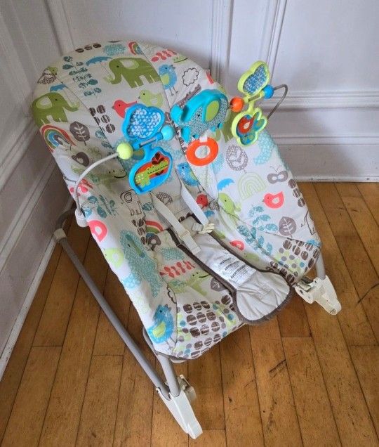 Baby Bouncer 