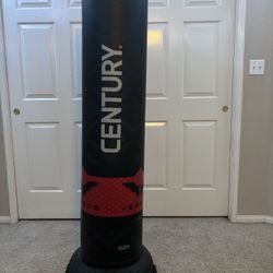 Adult Century Free Standing Punching, Kicking, Wrestling