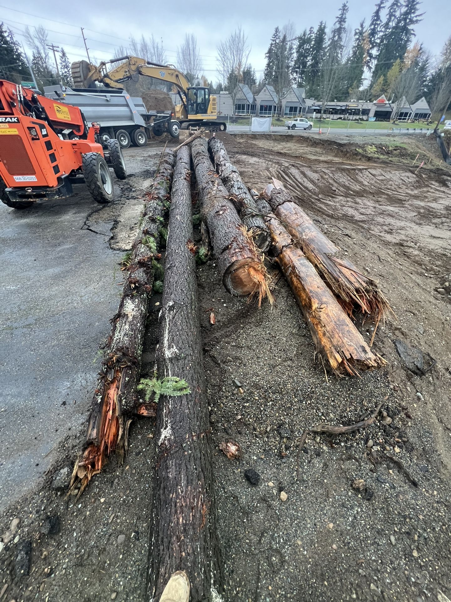 Douglas Fir Firewood for Sale in Edgewood, WA - OfferUp