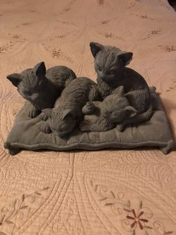 Cats & kittens
