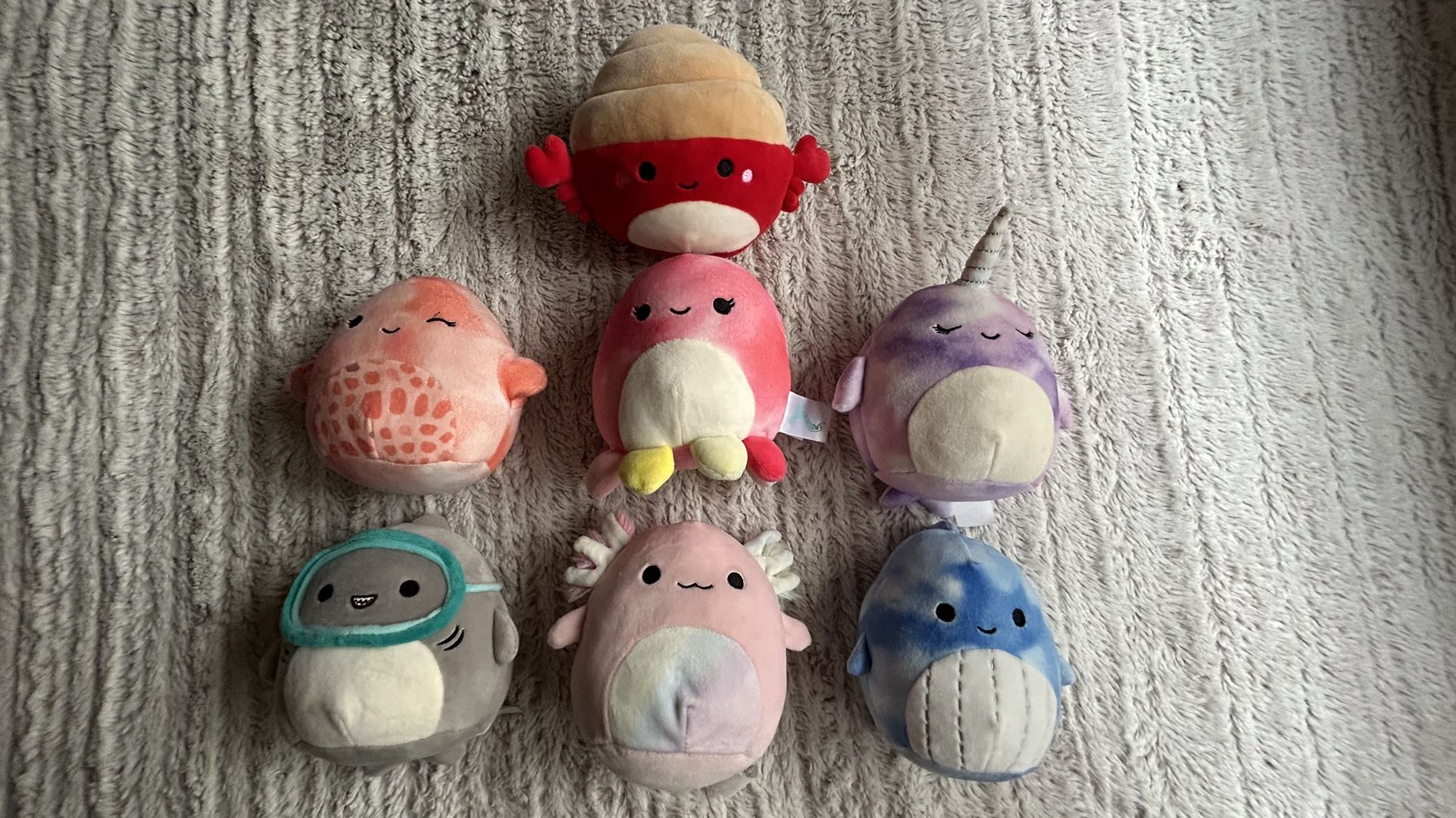 Ocean Squishmallows