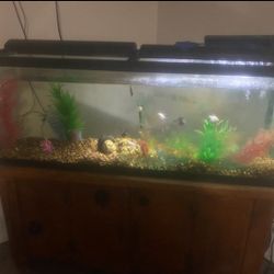 Fishtank W/stand 