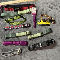 Bundle Of Collars For Dogs New!