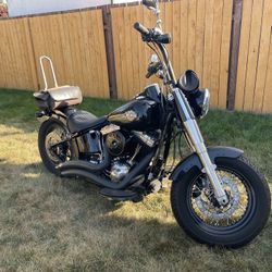 2015 Harley Davidson Slim-A Blast to Ride