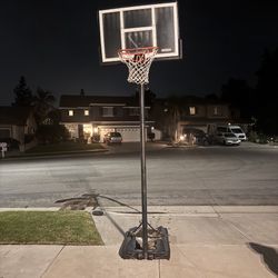 Free Basket Ball Hoop 