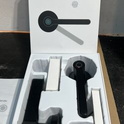 Blusafe Smart Handle Finger Print Lock Buy One And Get A Free Smart Fingerprint Pad Lock