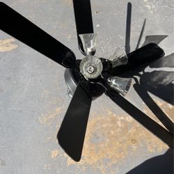 Paddle Fan - Black