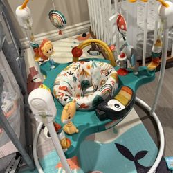 Baby Bouncer