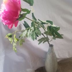  Vase not Flower 