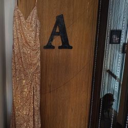 Stunning Rose Gold Shoes And Dress Perfect For Special Accessions It Has Beautiful Sequins On It It Is A Size 8 And The Shoes Are A Size 7/2 .