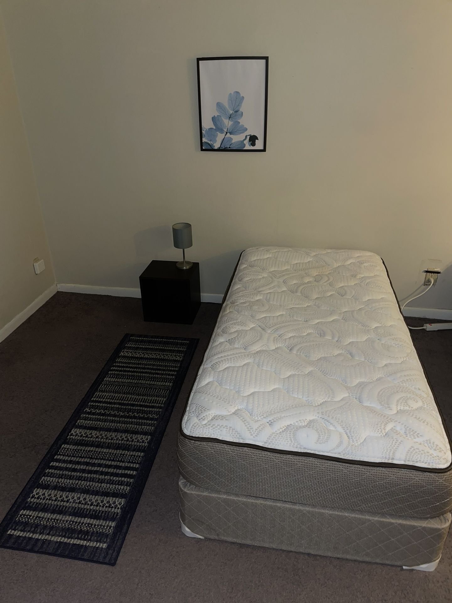 Twin bed + Mattress (Includes Rug, Bedside Table, Lamp And Wall Art)