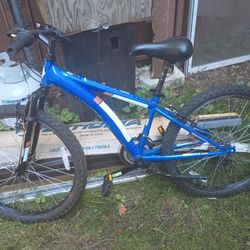 Diamond Back 24" Cobra Bike Like New Just Missing Front Brake Handle Only $100 Or Best Offer 