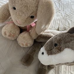 Stuffed Animals 