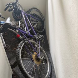 Purple Bike