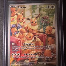 Eevee Special Illustration Rare Pokemon Card 
