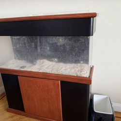 Acrylic Fish Tank