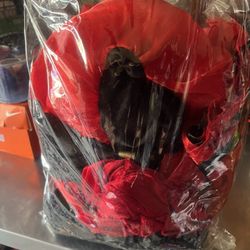 Halloween Costume Harley Quinn